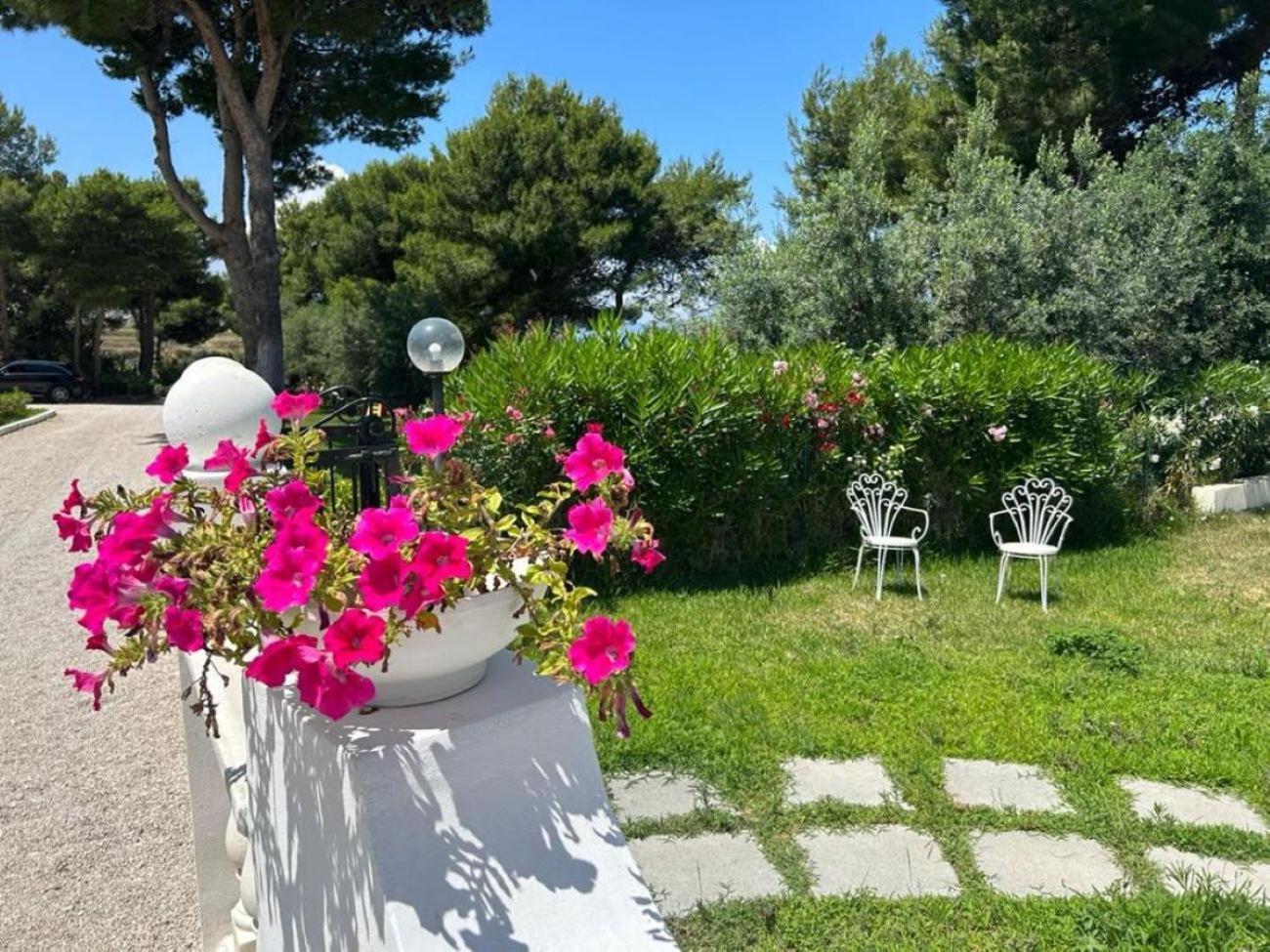 Villa Nunziatella Badia ตรัปเปโต ภายนอก รูปภาพ