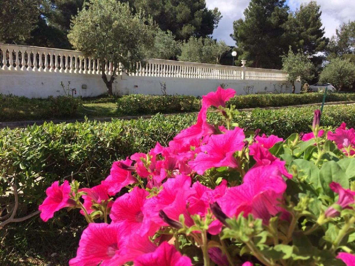 Villa Nunziatella Badia ตรัปเปโต ภายนอก รูปภาพ